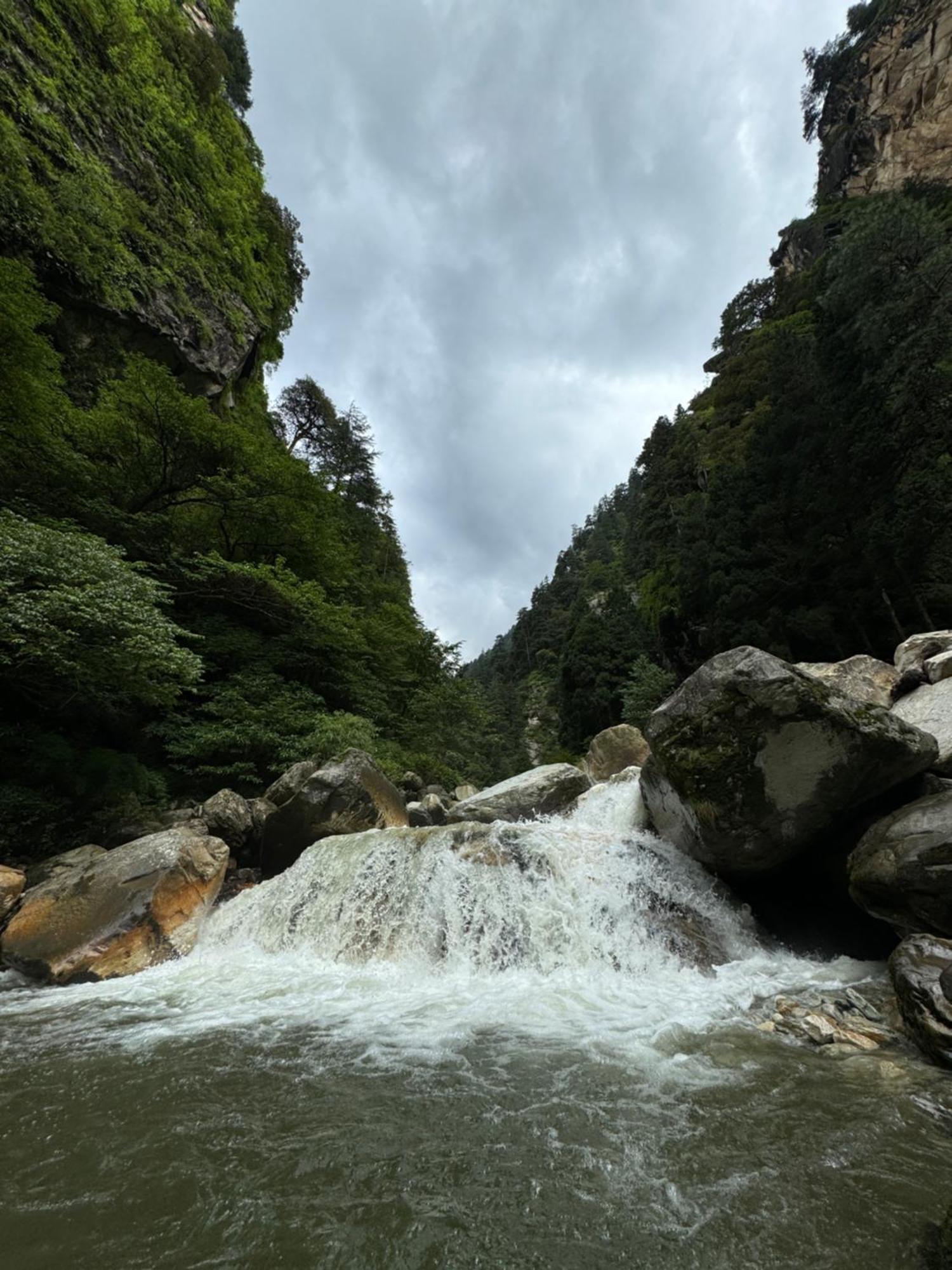 Delight Homestay Kasol Exterior foto