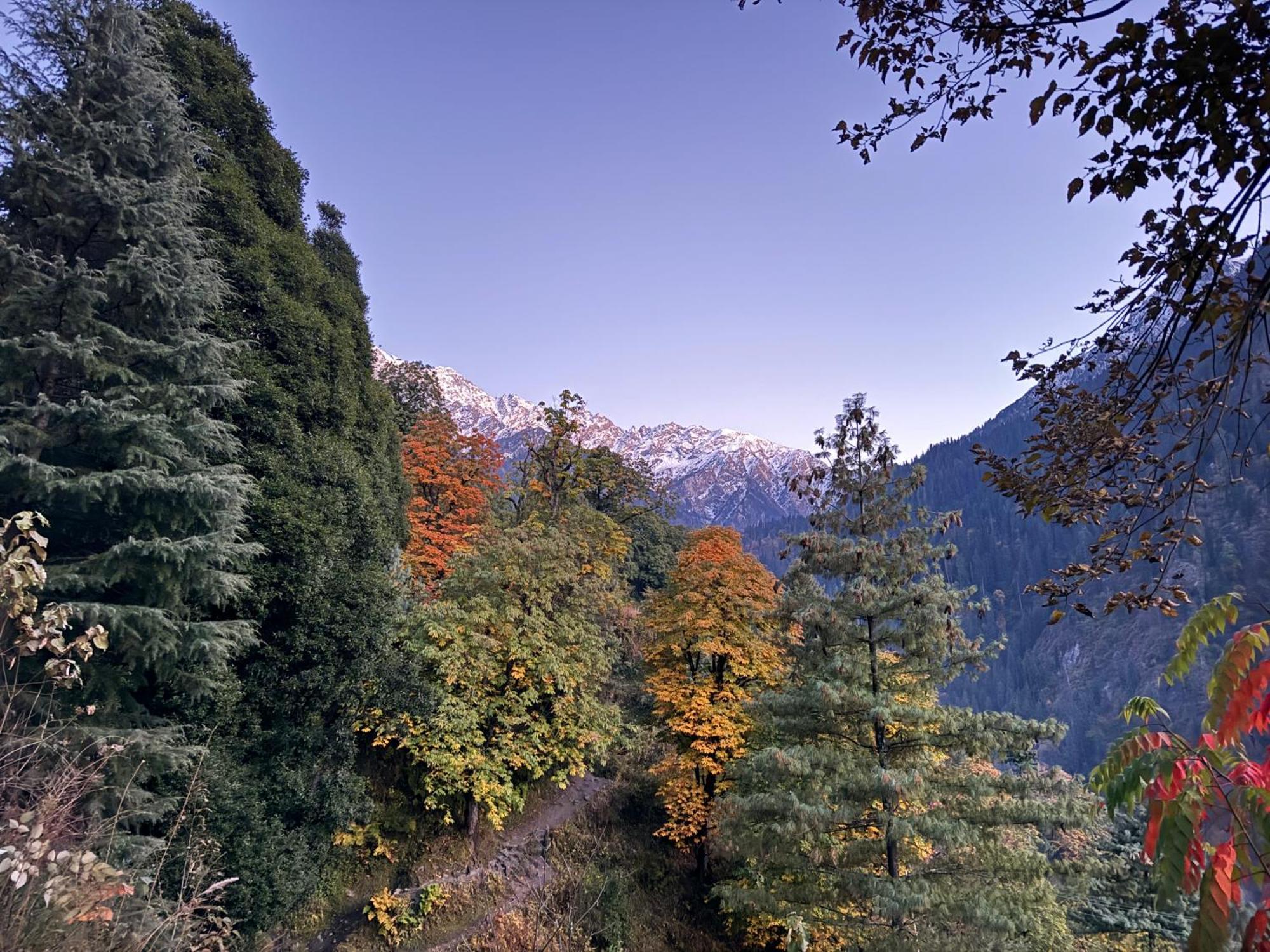 Delight Homestay Kasol Exterior foto