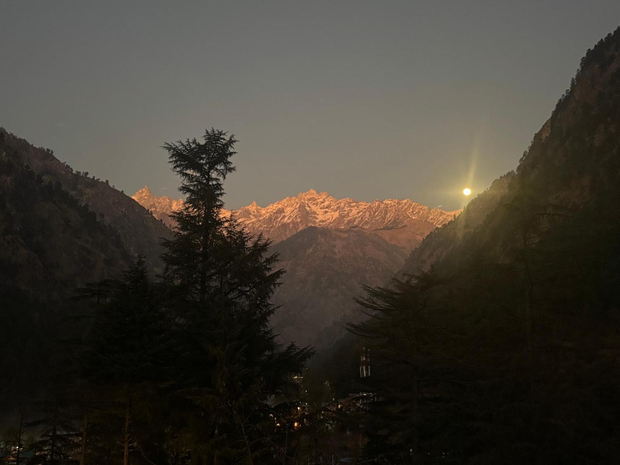 Delight Homestay Kasol Exterior foto